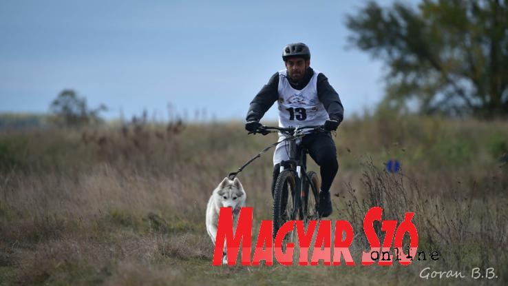 A Farkastanyán megtartott megmérettetésen 46 versenyző vett részt