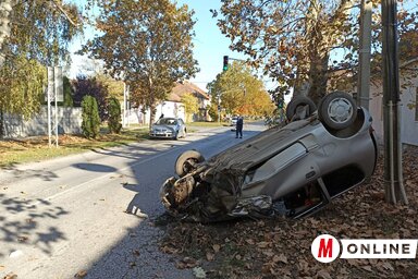 (Fotó: Horváth Zsolt felvétele)