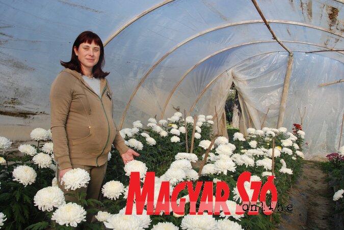 Mária a kedvenc virágaival (Fotó: Horváth Attila felvétele) Mária a kedvenc virágaival (Fotó: Horváth Attila felvétele)