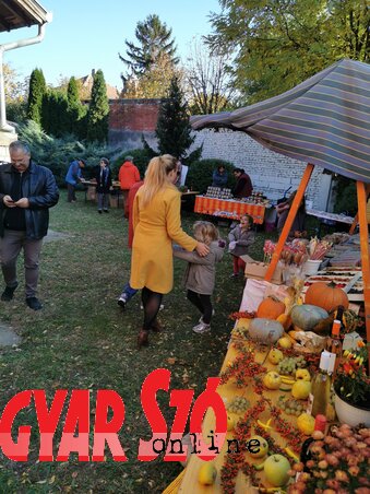 Pesevszki Evelyn felvétele