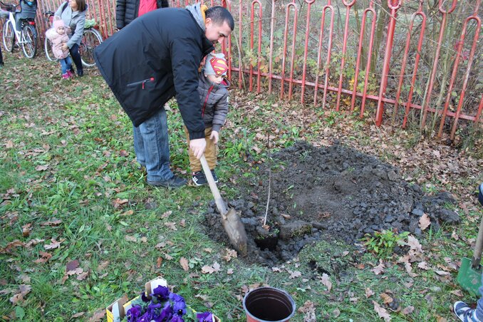 A legkisebbek is segítettek a faültetésben, amely köré lila árvácska is került. (Fotó: Kállai G. Nikoletta)