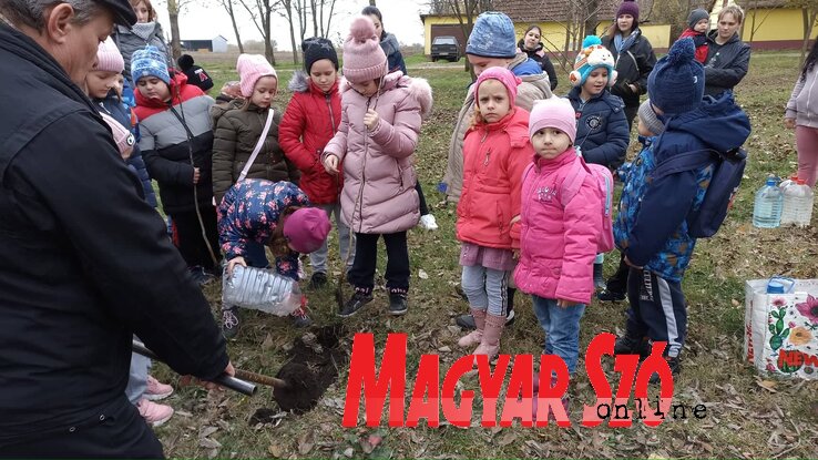 Ahány elsős van a faluban, annyi diófa került földbe