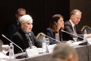 Zorana Mihajlović miniszter a tárgyalás egyik legfontosabb témájaként a klímaváltozás kihívásait emelte ki (Fotó: Beta)