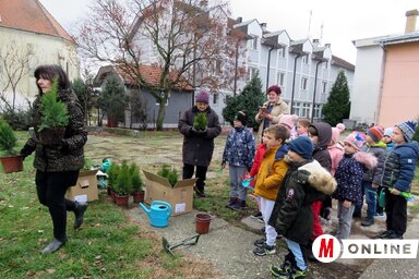 Környezettudatos nevelés a kezdetektől (Kecskés István felvétele)