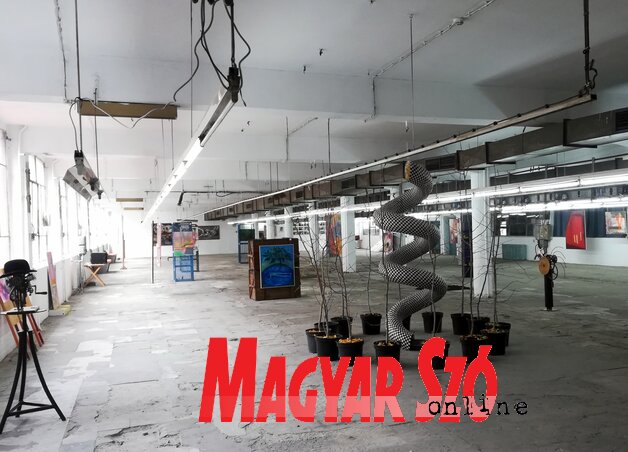 Fotó: Benedek Miklós