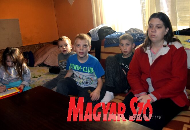 Egy sparheltre még nagy szüksége lenne a családnak Egy sparheltre még nagy szüksége lenne a családnak