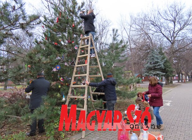 Az önkéntesek díszítik a karácsonyfát Adán Az önkéntesek díszítik a karácsonyfát Adán