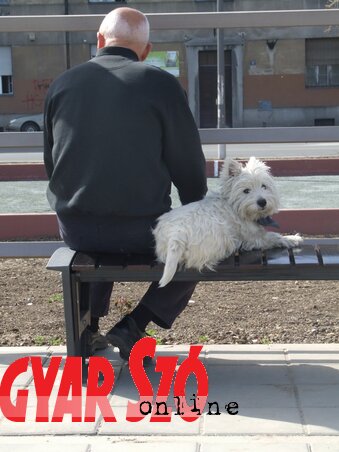 (Dávid Csilla illusztrációja)