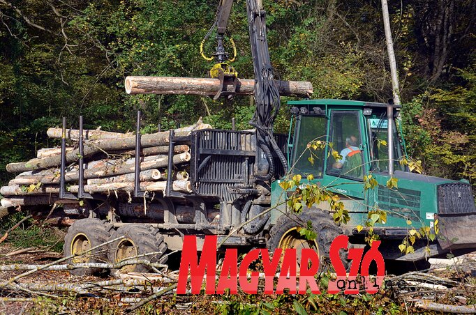 Az erdészetet az idén összesen 155 millió dinárral támogatja a tartományi titkárság (Fotó: Dávid Csilla) Az erdészetet az idén összesen 155 millió dinárral támogatja a tartományi titkárság (Fotó: Dávid Csilla)