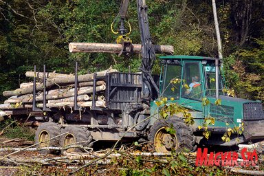 Az erdészetet az idén összesen 155 millió dinárral támogatja a tartományi titkárság (Fotó: Dávid Csilla)