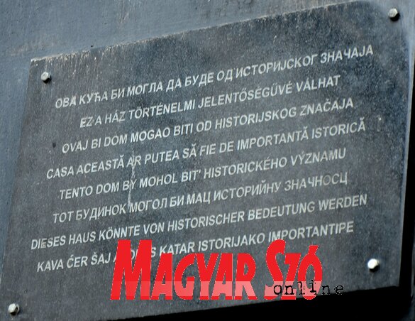 (Fotó: Dávid Csilla felvétele) (Fotó: Dávid Csilla felvétele)