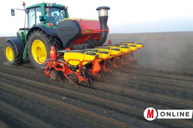 A szenttamási határban folyik a cukorrépa vetése (Paraczky László felvétele)