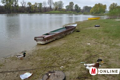 Temérdek szemét gyűlt össze a Duna partján, a városi és a tartományi közvállalatok közös tisztítási akciójának köszönhetően most ismét élvezhető a természet. A fotó tegnap készült a hajógyár közelében
