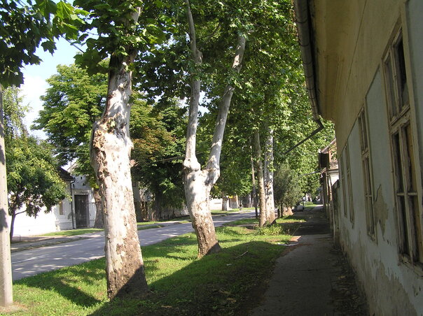 Óbecse ma (Fotó: Mák Ferenc) Óbecse ma (Fotó: Mák Ferenc)
