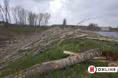 (Fehér Rózsa felvétele)