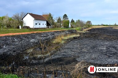 A tűz veszélyeztette a hétvégi házakat (Fotó: Gergely József)