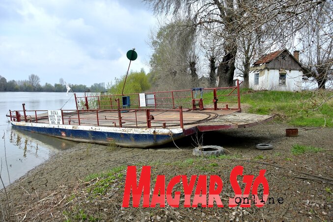 (Fotó: Gergely József) (Fotó: Gergely József)