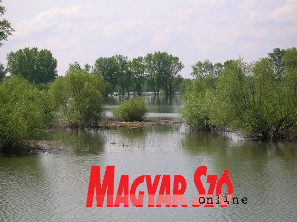 (Fotó: Buzás Mihály) (Fotó: Buzás Mihály)