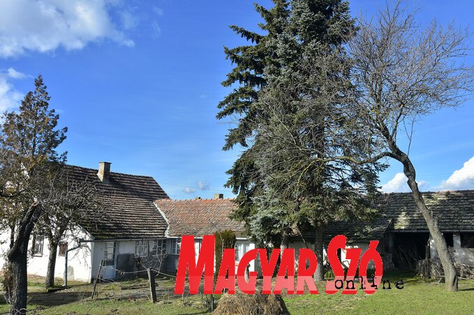 A lakatlan Bata-féle családi ház tájház lehetne (Gergely József felvétele) A lakatlan Bata-féle családi ház tájház lehetne (Gergely József felvétele)