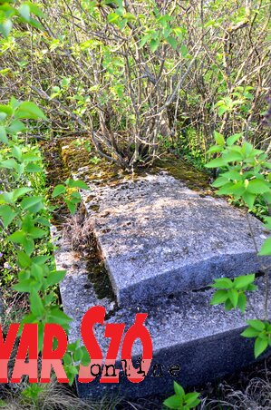 A sírkövön már utat tört magának a természet (Dávid Csilla felvétele) A sírkövön már utat tört magának a természet (Dávid Csilla felvétele)
