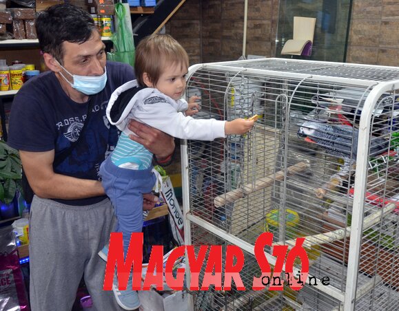 Nole a papagáj a telepi kisállatkerskedés házi kedvence már több mint 10 éve Nole a papagáj a telepi kisállatkerskedés házi kedvence már több mint 10 éve