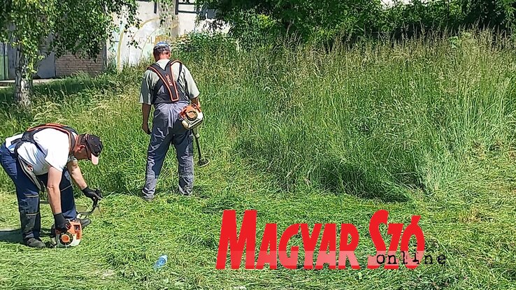 Mintegy 70 helyszínen takarítottak Verbászon (Paraczky László felvétele) Mintegy 70 helyszínen takarítottak Verbászon (Paraczky László felvétele)