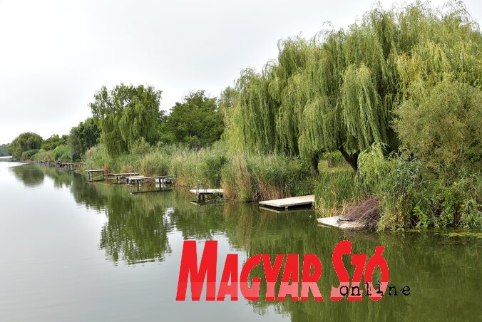 Bácsföldvárnál az Ótisza Természetvédelmi park kedvelt horgász- és kiránduló hely (Fotó: Gergely József) Bácsföldvárnál az Ótisza Természetvédelmi park kedvelt horgász- és kiránduló hely (Fotó: Gergely József)