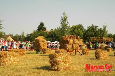 Tavaly elmaradt, az idén még bizonytalan a parasztolimpia megtartása