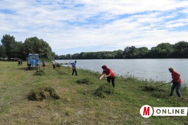 Önkéntes munkaakció volt az adai strandon