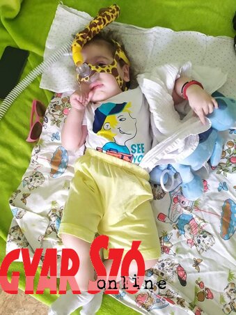 Még szükség van a lélegeztetőgépre (Fotó: Polyák Hajnalka) Még szükség van a lélegeztetőgépre (Fotó: Polyák Hajnalka)