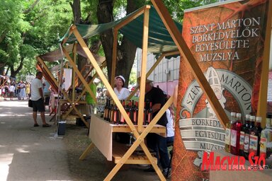 Elviselhetőbb volt a szabadban (Kecskés István felvétele)