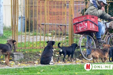 Vajon a fotón látható úr környezetvédelmi megindíttatásból pályázott tegnap, vagy egy másik, agyonkomplikált pályázati ciklusban munkaeszközként igényel majd anyagi támogatást új kerékpárra?