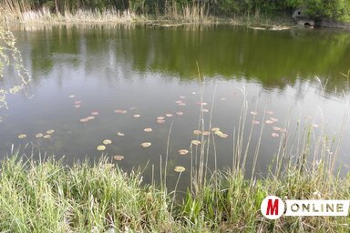 A Bácskai Nagycsatorna Zombornál (Fekete J. József felvétele)