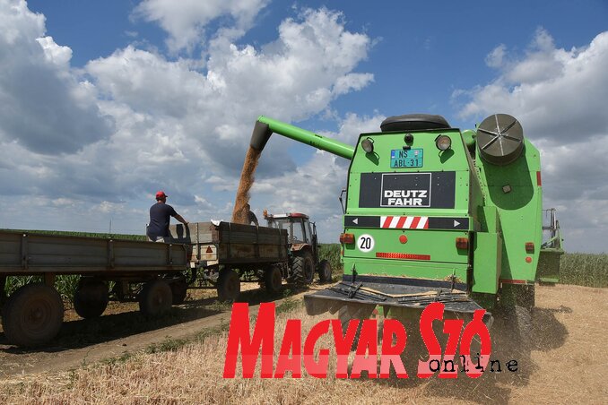 (Fotó: Ótos András)