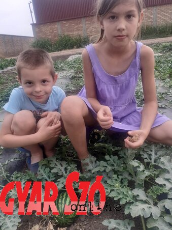 Edvin és Lea az ízletes dinnyét sem veti meg Edvin és Lea az ízletes dinnyét sem veti meg