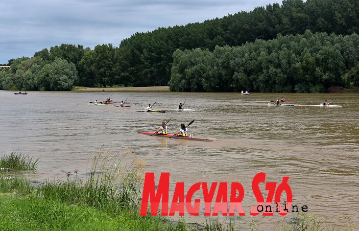 (Fotó: Gergely József) (Fotó: Gergely József)