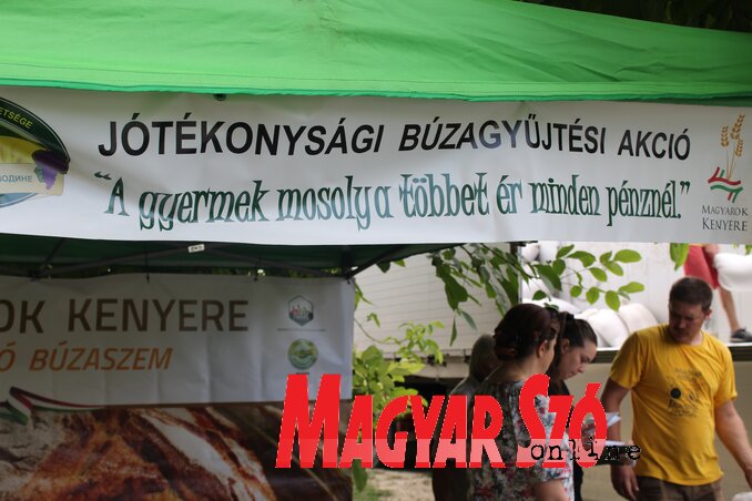 Évről évre sikeresebb a VASZ búzagyűjtő akciója Évről évre sikeresebb a VASZ búzagyűjtő akciója
