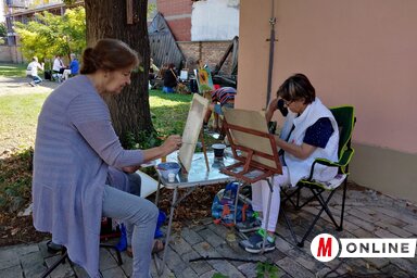 A táborba egész Vajdaságból érkeztek alkotók (Fehér Rózsa felvétele)