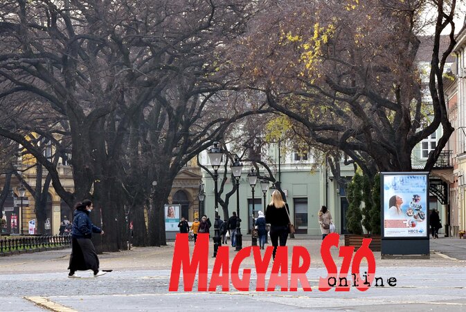 (Fotó: Gergely Árpád) (Fotó: Gergely Árpád)