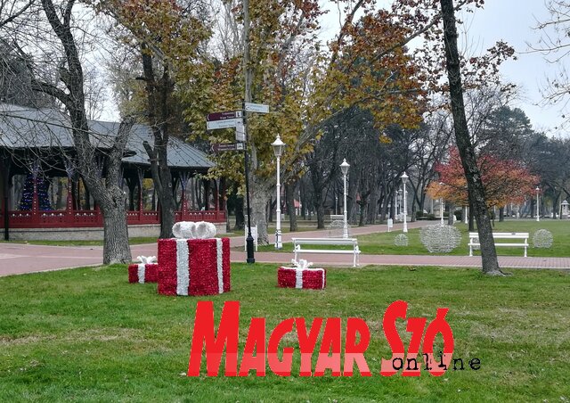 (Fotó: Benedek Miklós) (Fotó: Benedek Miklós)