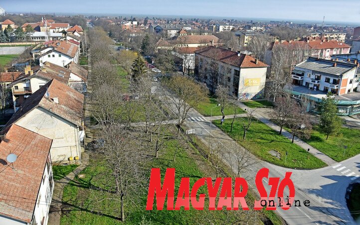 Csóka látképe a katolikus templom tornyából (Gergely Árpád felvétele) Csóka látképe a katolikus templom tornyából (Gergely Árpád felvétele)