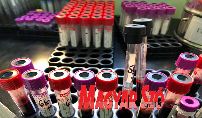 (Fehér Rózsa felvétele)