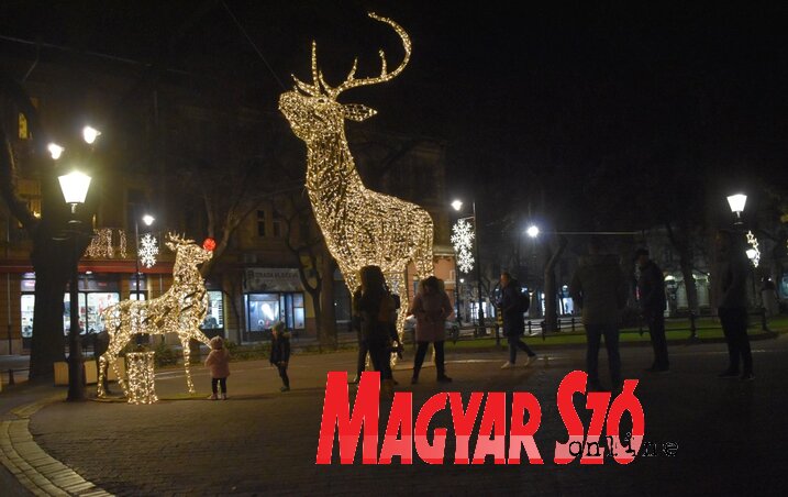 Vasárnap este többen is megcsodálták a rénszarvasokat (Fotó: Patyi Szilárd) Vasárnap este többen is megcsodálták a rénszarvasokat (Fotó: Patyi Szilárd)