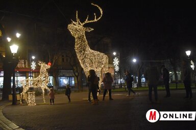 Vasárnap este többen is megcsodálták a rénszarvasokat (Fotó: Patyi Szilárd)