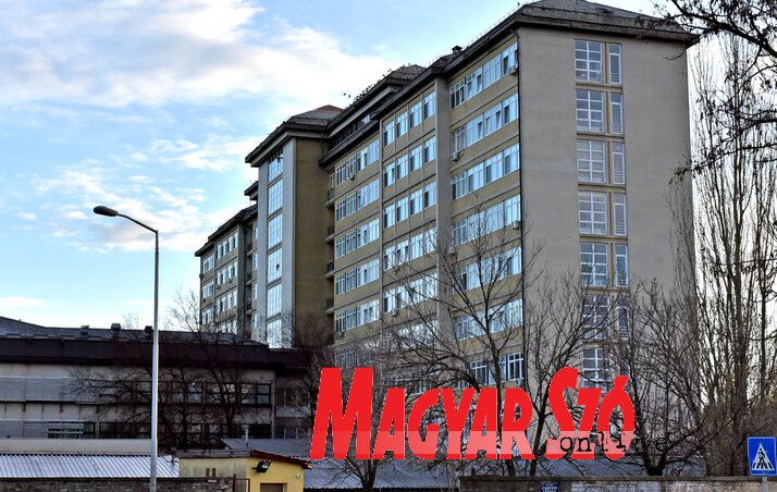 (Fotó: Gergely Árpád)