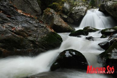 Az erdélyi hegyi patakok vize a legtisztább (Fotó: Gergely József)