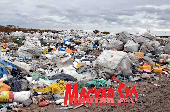 A városi szeméttelepre évente ötvenezer tonna hulladékot szállítanak (Gergely Árpád archív felvétele)