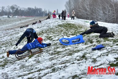 Habár vasárnap este Zentán mindössze pár centi vastagságú hó esett, a gyerekek hétfőn délelőtt azonnal birtokukba vették a töltésoldalt, és vígan csúszkáltak. Odáig nehéz volt eljutniuk, hiszen délelőtt enyhe volt az idő, és a járdákról mindenhonnan eltűn