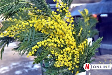 (Fotó: Gergely Árpád)