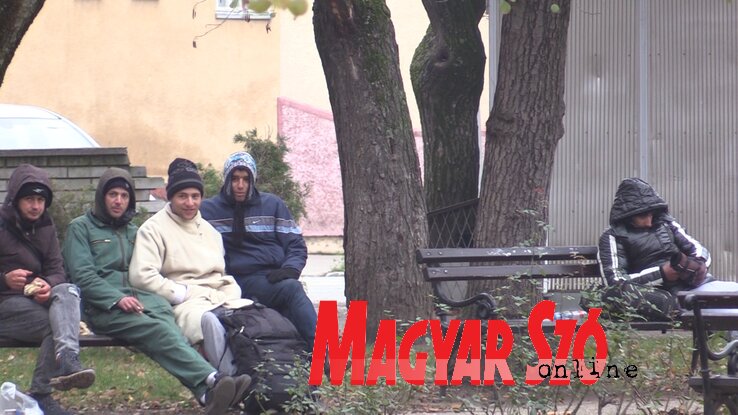 A migránsok fáznak, lakatlan házakba szeretnének bejutni (Fotó: Csubrilo Zoltán) A migránsok fáznak, lakatlan házakba szeretnének bejutni (Fotó: Csubrilo Zoltán)